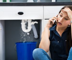 About Septic Pumping Service Kings Canyon National Pk, CA